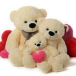 2 Feet, 3.5 Feet and 5 Feet Peach Bow Teddy Bear Family
